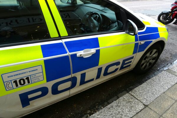 police car, civil actions