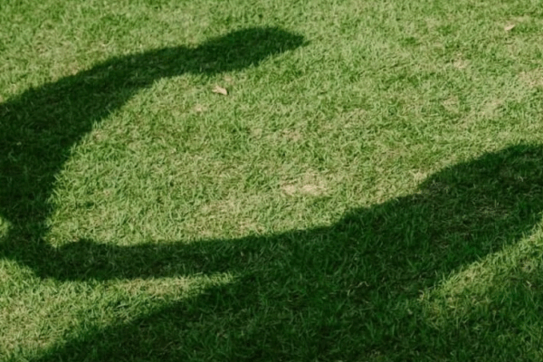 A shadow on grass of two people holding hands